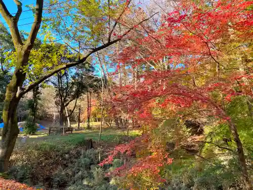 武田神社の庭園