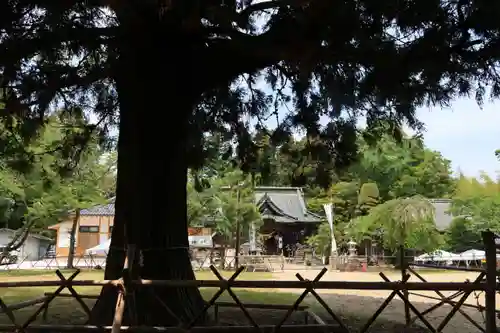 相馬小高神社の景色