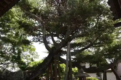 稱名寺(滋賀県)