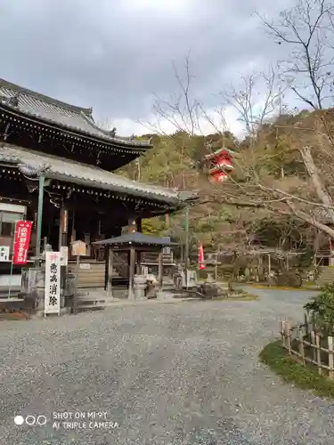 今熊野観音寺の本殿・本堂