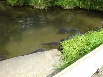 深大寺のその他建物