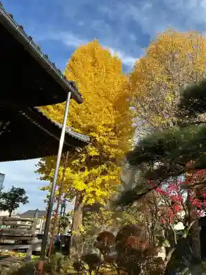 長慶寺(福井県)