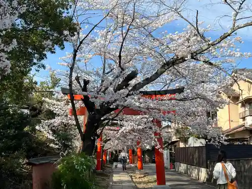竹中稲荷神社（吉田神社末社）(京都府)