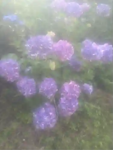 済渡寺(岡山県)