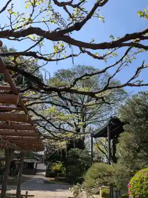 愛染院(東京都)