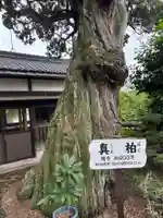 愛染寺(香川県)