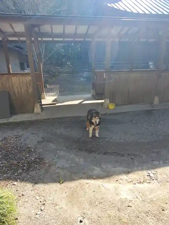 密蔵院(栃木県)