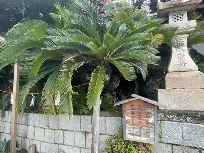 叶神社（東叶神社）(神奈川県)