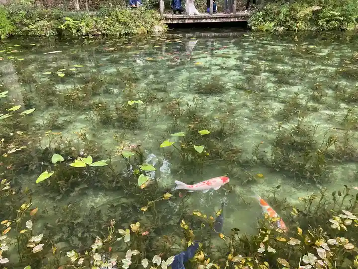 根道神社(岐阜県)