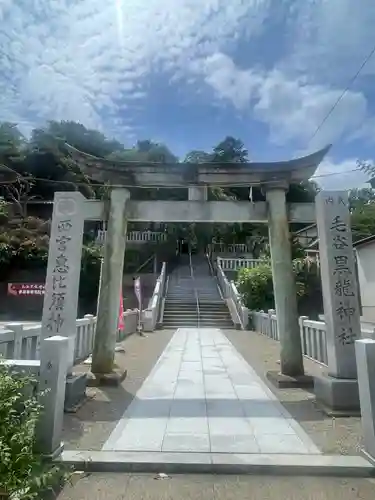 毛谷黒龍神社(福井県)