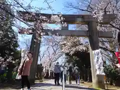 上野東照宮の鳥居