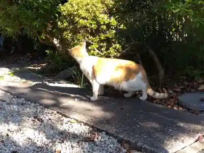 喜見寺(愛知県)