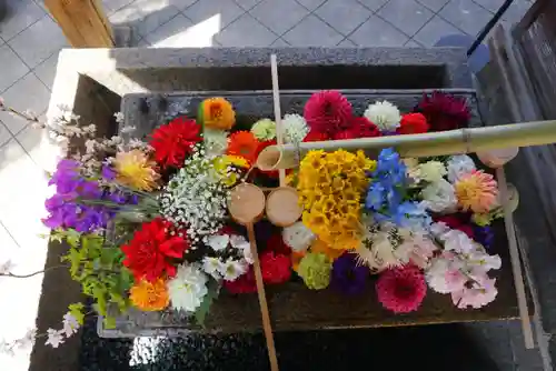 勝林寺の手水舎