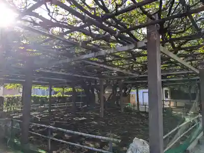 太巌寺（ふじの寺）(三重県)