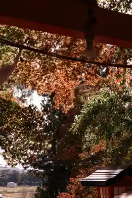 鼻顔稲荷神社(長野県)