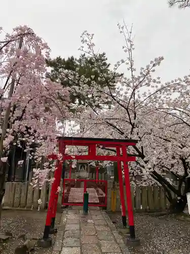 葛井寺の鳥居