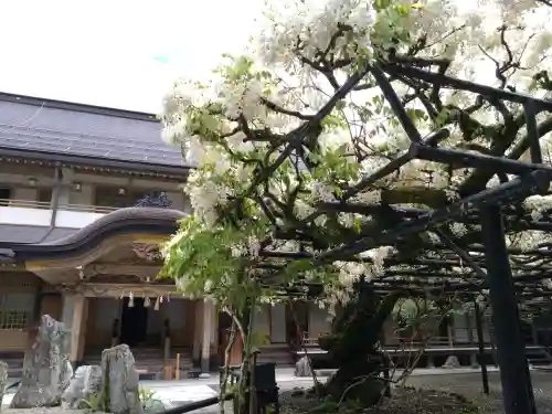 総持院の{uncategorized: "未分類", other: "その他", undefined: "問題あり", building: "その他建物", grave: "お墓", sacred_gate: "鳥居", guardian: "狛犬", statue: "像", buddha: "仏像", history: "歴史", nature: "自然", garden: "庭園", animal: "動物", pagoda: "塔", temizu: "手水舎", mountain_gate: "山門・神門", sanctuary: "本殿・本堂", subordinate: "末社・摂社", art: "芸術", scenery: "景色", jizo: "地蔵", ema: "絵馬", goshuin: "御朱印", omikuji: "おみくじ", items: "授与品その他", amulet: "お守り", goshuincho: "御朱印帳", eats: "食事", festival: "お祭り", votive_dance: "神楽", shichigosan: "七五三参", wedding: "結婚式", experience: "体験その他", initially: "初詣", around: "周辺", anti_infection: "感染症対策"}
