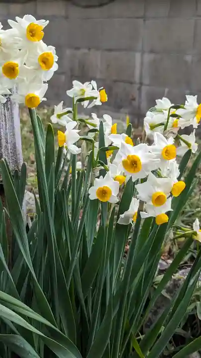 惠心院(京都府)