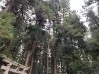 大宮温泉神社(栃木県)