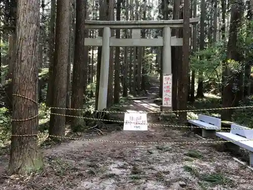 彌彦神社の鳥居