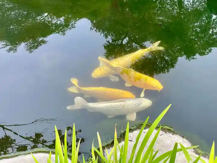 宇賀神社(神奈川県)