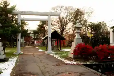 滝川神社の鳥居