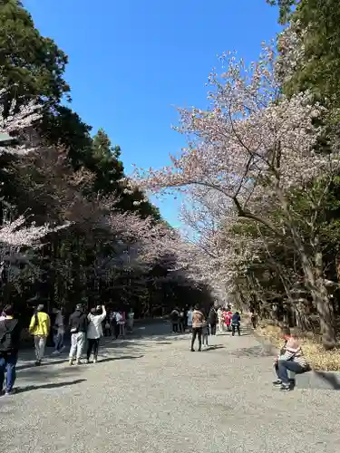 北海道神宮の景色