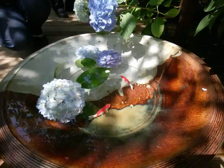 明月院(神奈川県)