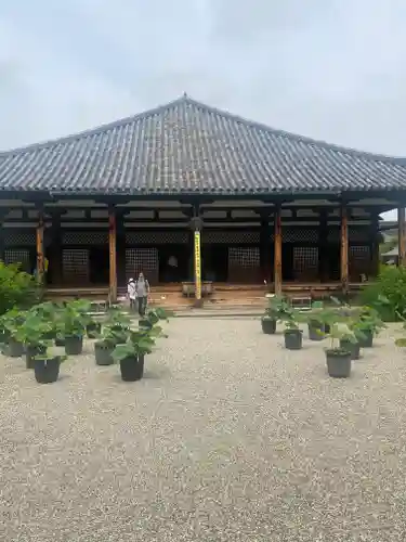 元興寺の本殿・本堂