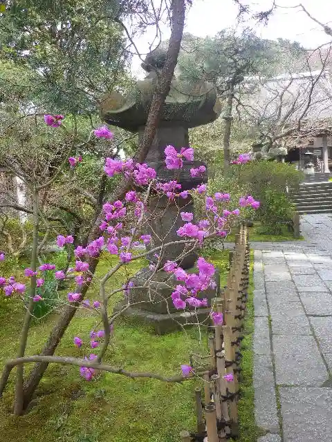 安國論寺(安国論寺)のその他建物