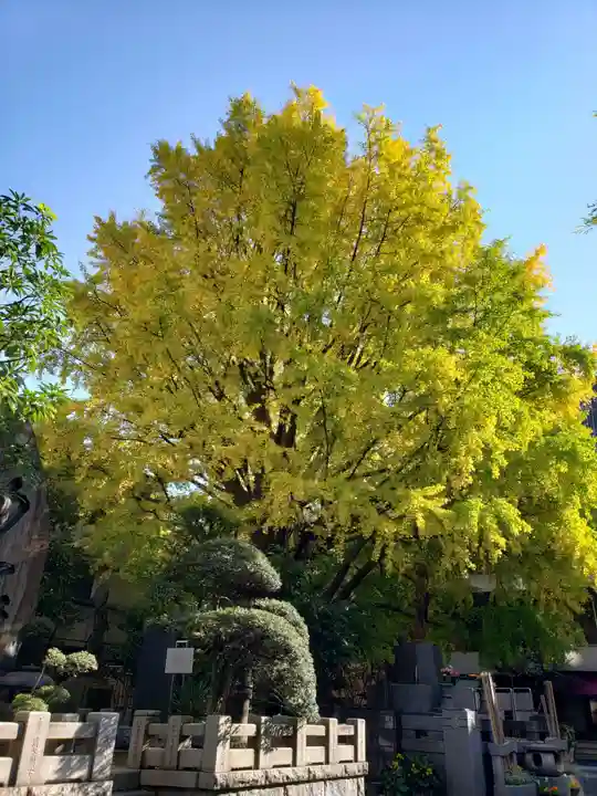回向院(東京都)
