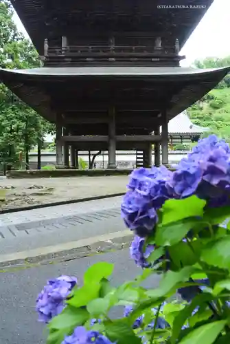 円覚寺(神奈川県)