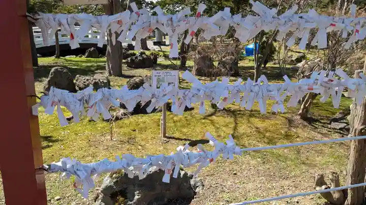 北海道護國神社のおみくじ