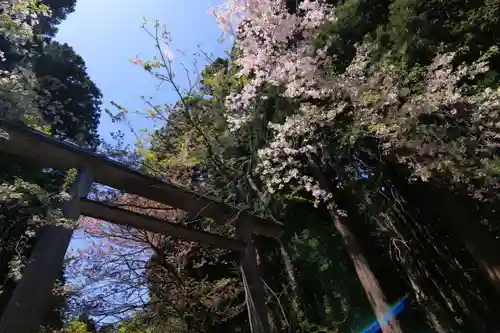 土津神社｜こどもと出世の神さまの鳥居