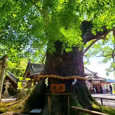 事任八幡宮(静岡県)
