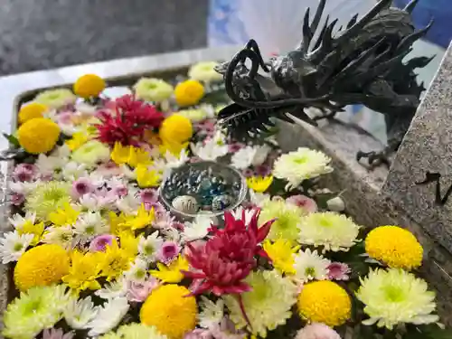 札幌諏訪神社の手水舎