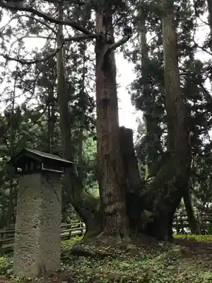 平等寺の自然