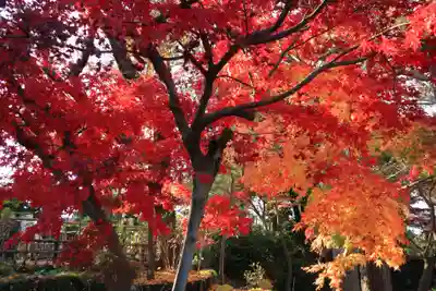 本土寺(千葉県)