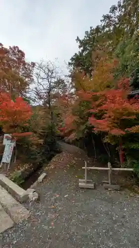 鍬山神社(京都府)