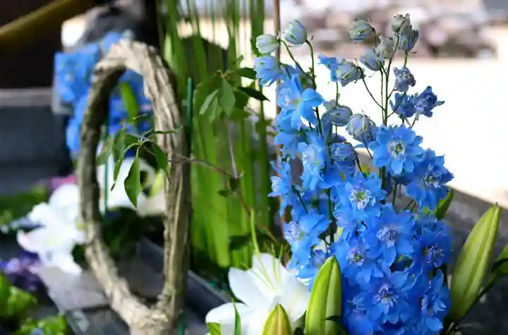 三津厳島神社の手水舎