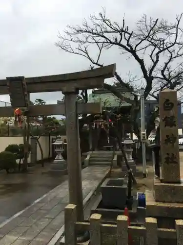 白銀神社の鳥居