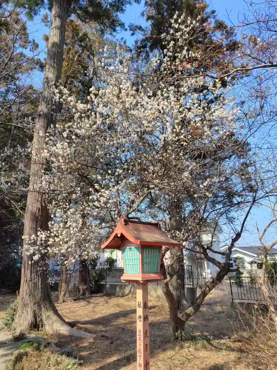 菅谷神社(埼玉県)