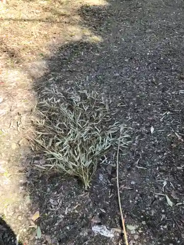 杭全神社(大阪府)