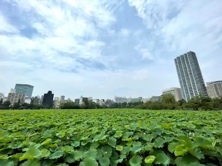 寛永寺不忍池弁天堂の自然
