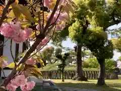 住吉神社の自然