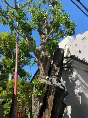 江島杉山神社の{uncategorized: "未分類", other: "その他", undefined: "問題あり", building: "その他建物", grave: "お墓", sacred_gate: "鳥居", guardian: "狛犬", statue: "像", buddha: "仏像", history: "歴史", nature: "自然", garden: "庭園", animal: "動物", pagoda: "塔", temizu: "手水舎", mountain_gate: "山門・神門", sanctuary: "本殿・本堂", subordinate: "末社・摂社", art: "芸術", scenery: "景色", jizo: "地蔵", ema: "絵馬", goshuin: "御朱印", omikuji: "おみくじ", items: "授与品その他", amulet: "お守り", goshuincho: "御朱印帳", eats: "食事", festival: "お祭り", votive_dance: "神楽", shichigosan: "七五三参", wedding: "結婚式", experience: "体験その他", initially: "初詣", around: "周辺", anti_infection: "感染症対策"}