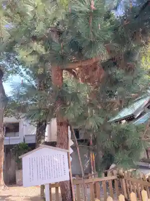 安久美神戸神明社(愛知県)