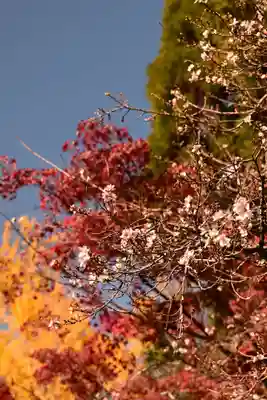 赤山禅院(京都府)