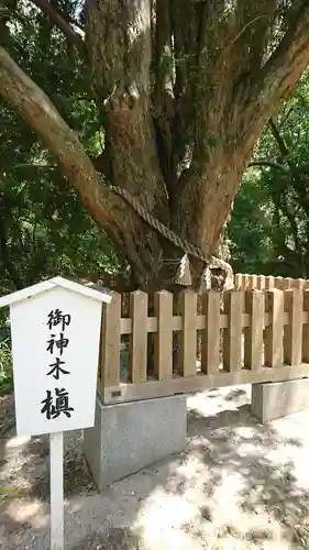 安房神社の自然