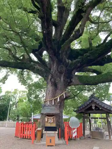 百舌鳥八幡宮(大阪府)